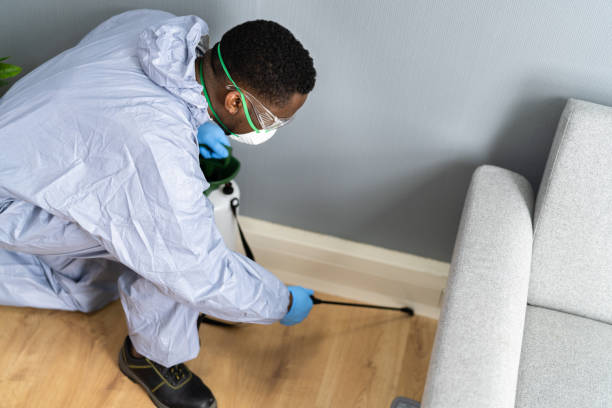 Best Fumigation Services  in Pitola, CA